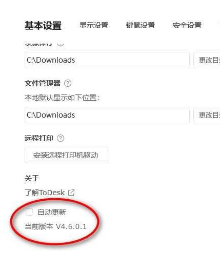 远程控制软件：ToDesk_v4.6.0.1 绿色版